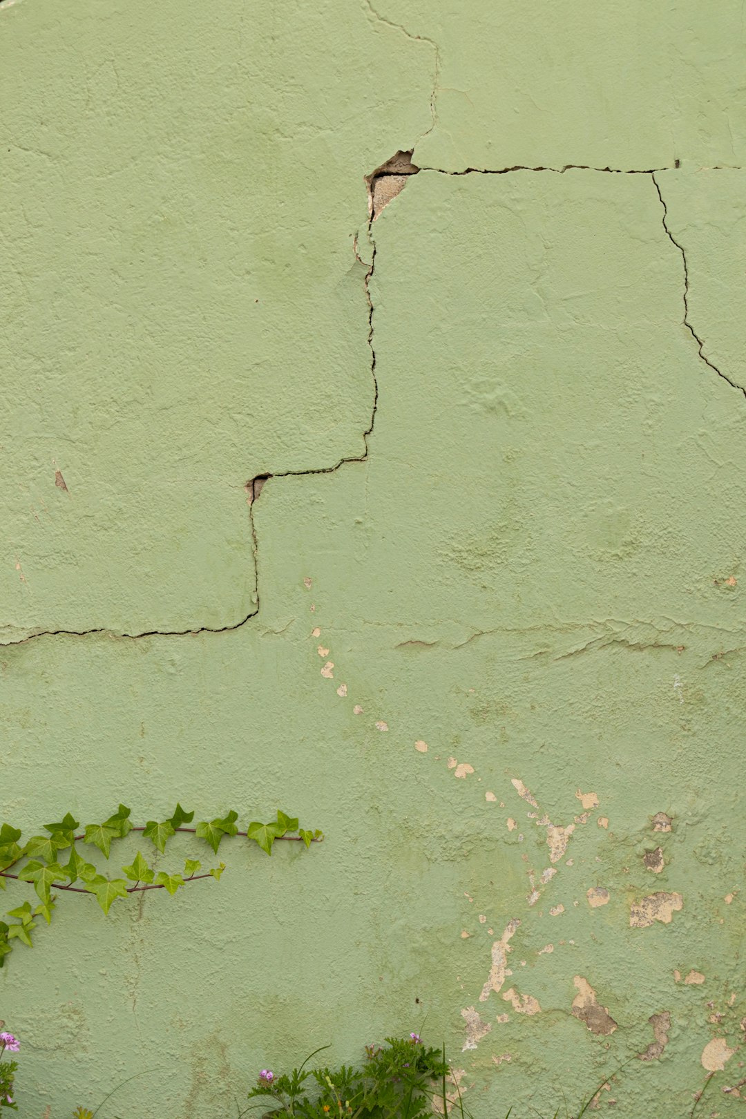 Green wall background, suitable for various projects and purposes